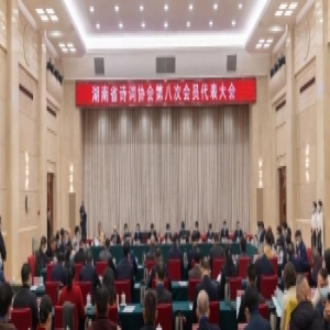 湖南省诗词协会第八次会员代表大会在长沙召开，蔡建和当选为新一